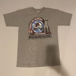 Gray Colorado Avalanche Stanley Cup Champions T-Shirt